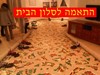 הפעלת יום הולדת אוטו ספיד 077-9968016