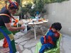 הקרנבל של טל -הפעלות לילדים שכולם אוהבים 0779968090
