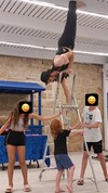 הקרקס של תומר 077-9966473