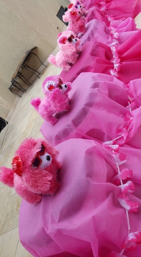 קנדיל'ה הפעלות מושקעות לבנות 077-9967914