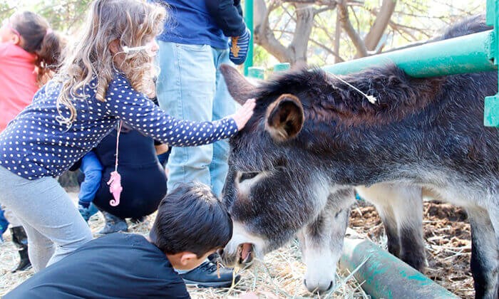 כניסה ל'חווה בגבעה' ולבריכה של קיבוץ גבעת ברנר 08-9443440