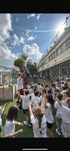דניאל המשתולל 077-9969037