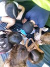 אסקייפ טנט 077-9966433