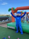 גל המגולגל 077-9969285