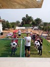 גיא המשוגעי -הפעלות משוגעות לילדים. 077-9966508